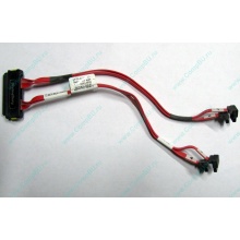 SATA-кабель для корзины HDD HP 451782-001 459190-001 для HP ML310 G5 (Авиамоторная)