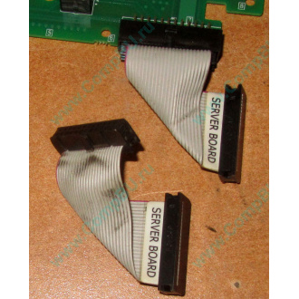 6017B0045701 Шлейф 24 pin для Intel C74974-401 T0043401-B01 корпуса SR2400 (Авиамоторная)